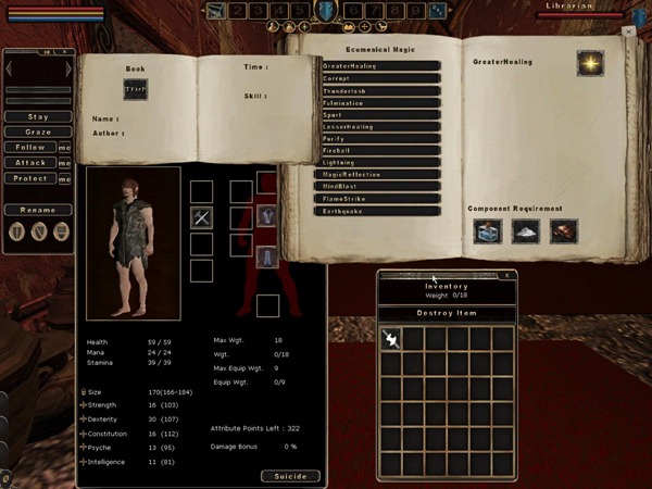 MortalOnline 2010-06-08 15-53-20-07