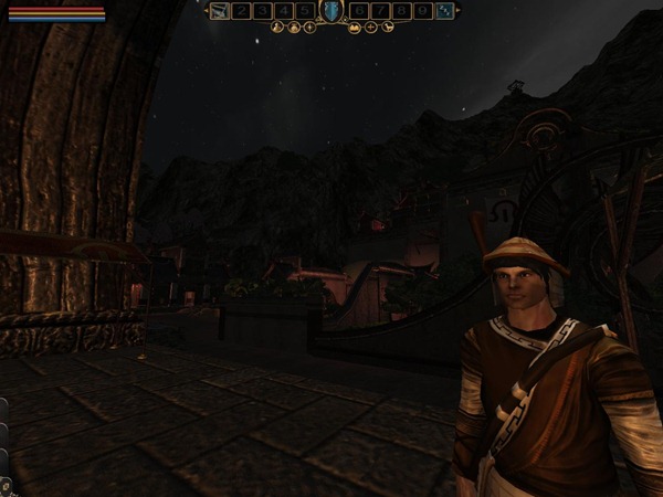 MortalOnline 2010-06-08 15-54-59-74