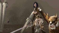 Rappelz en español comienza su beta abierta el 26 de mayo