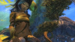 Guild Wars 2 – Nuevo vídeo sobre la creación de los Sylvari