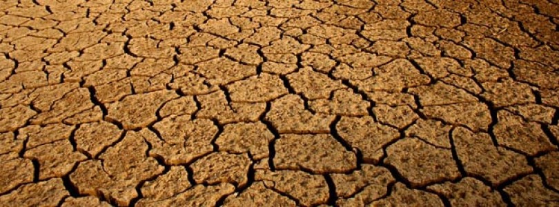 ¿Fin de la sequia para el genero MMO en 2012?