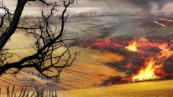 ¡Guild Wars 2 y el PvP World vs World!