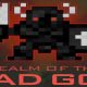 Realm of the Mad God disponible en steam