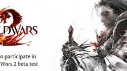 Guild Wars 2: Registro para la beta