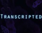 Transcripted puzzles y disparos en el navegador