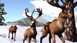 Xsyon tendrá un sistema de migración de sus animales