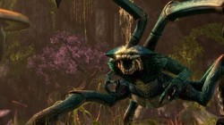 The Elder Scrolls Online: Detalles sobre los Dreguh