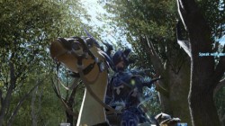 FINAL FANTASY XIV: A Realm Reborn: Fecha de Lanzamiento y reservas