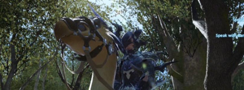 FINAL FANTASY XIV: A Realm Reborn: Fecha de Lanzamiento y reservas