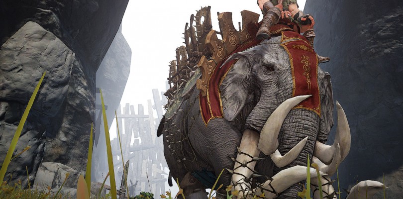 Black Desert Online demanda al creador de uno de sus bots