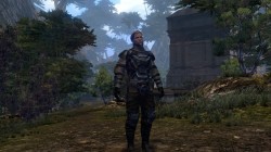 The Repopulation mejoras en las habilidades y el combate