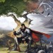 Crowfall permitirá subir habilidades pasivas en modo offline