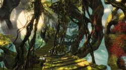 Guild Wars 2: Heart of Thorns – Nuevo trailer y mas detalles sobre la expansión
