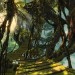 Guild Wars 2: Heart of Thorns – Nuevo trailer y mas detalles sobre la expansión