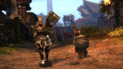 Guild Wars 2: Nueva beta abierta de Fortaleza