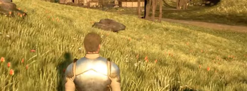 Un paseo por unos de los pueblos en el ultimo vídeo de Chronicles of Elyria