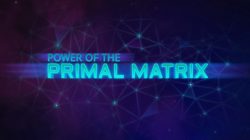 Wildstar pone fecha a su sistema Primal Matrix