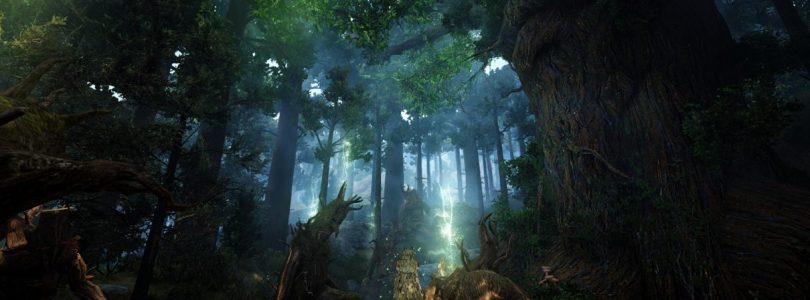 Black Desert Online está preparando su próxima expansión «Kamasylvia»