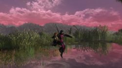 Lord of the Rings Online cumple 11 años