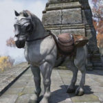 La comunidad de TESO se mosquea con las cajas de monturas y la cash shop