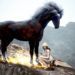Llega el caballo Perdición a Black Desert Online