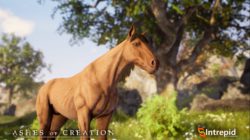 Ashes of Creation nos habla sobre los caballos y la cría de animales