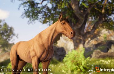 Ashes of Creation nos habla sobre los caballos y la cría de animales
