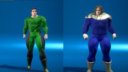 Ship of Heroes nos muestra los tipos de cuerpos y siluetas de los héroes