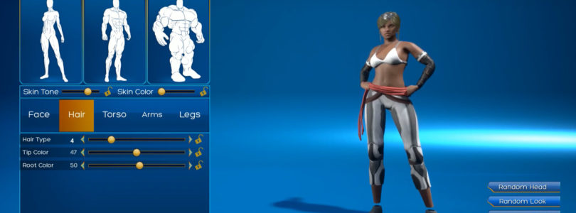 Ship of Heroes anuncia la beta del creador de personajes para el 1 de noviembre