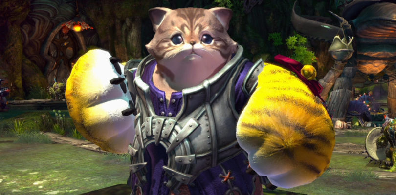 TERA añade la semana que viene al Popori Brawler en consolas