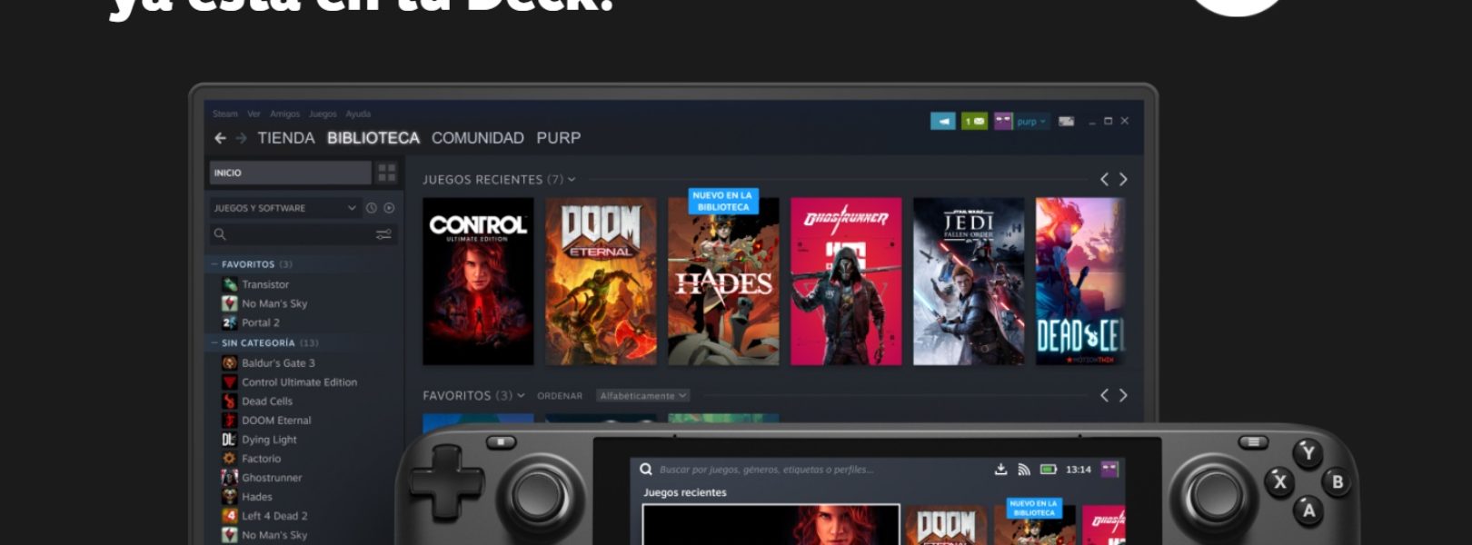 Steam Deck Zona MMORPG