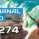 El Semanal MMO 274 ▶ New World no da una ▶ Breakwaters Survival ▶ Mad World Alpha y más…