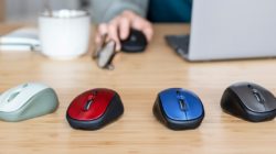 Trust aumenta su portfolio de productos ecológicos Clevergreen con los nuevos ratones YVI+, Bayo y Fyda