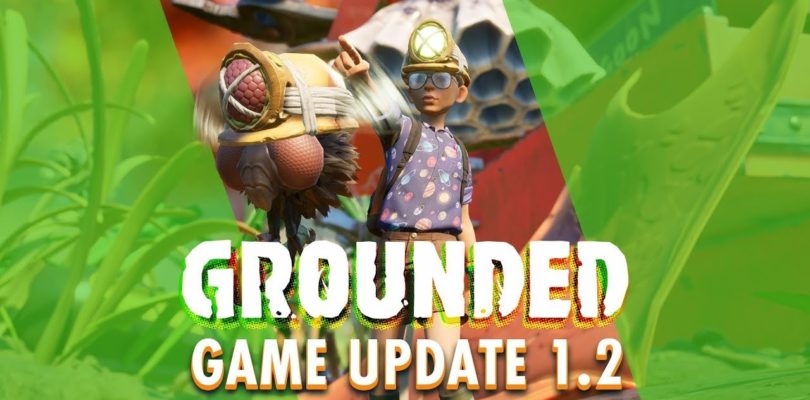 Ya disponible la actualización 1.2 de Grounded- Nuevas opciones de construcción, nuevas mecánicas y jefe avispa