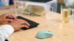 Trust presenta el ratón compacto Mydo