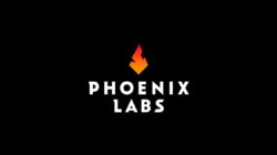 El CEO y COO de Phoenix Labs dimiten