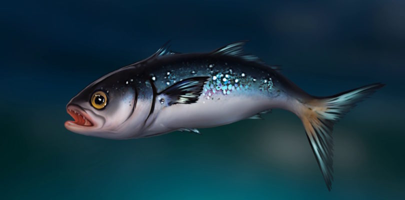 Age of Water describe cómo encontrar peces y destaca un par de facciones NPC