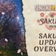 Sengoku Dynasty celebra la primavera con la actualización gratuita Sakura y un DLC de pago el 30 de abril de 2026
