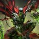 ¡La colaboración de Diablo Immortal x Spawn ya está disponible!