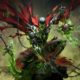 Todd McFarlane sube al escenario de la BlizzCon con motivo de la colaboración entre Diablo Immortal y Spawn