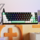 Tu Teclado. Tus Reglas: Razer Reclusa X Mini 65%